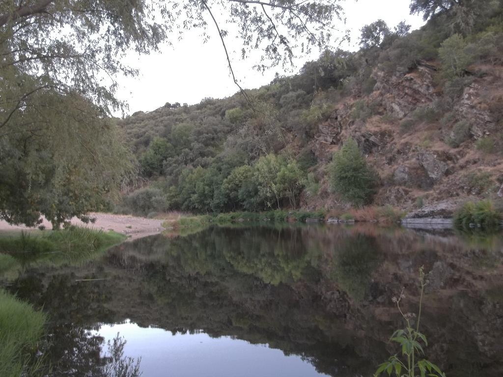 Apartamento El Dragon Serrano Sotoserrano Oda fotoğraf